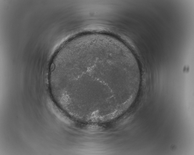 X0000112750399200909101545