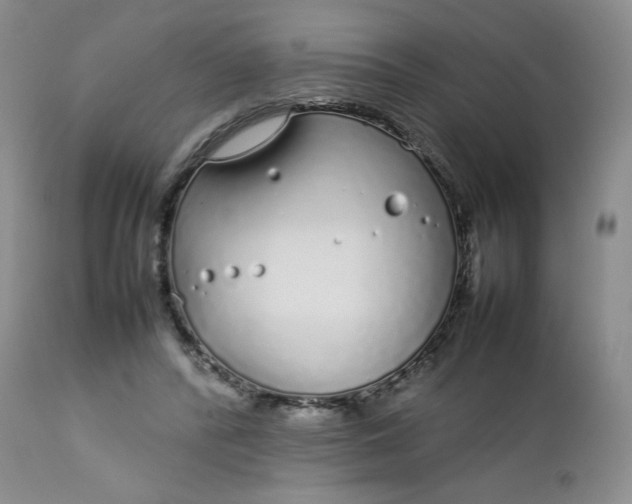 X0000112750400200909101545