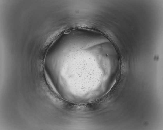 X0000112750401200909101545