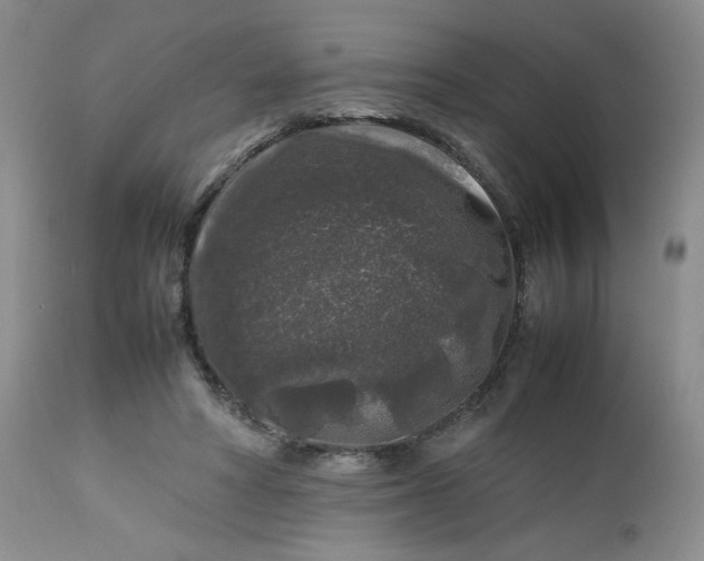 X0000112750402200909101545