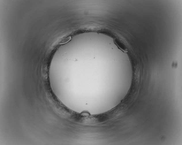 X0000112750403200909101545