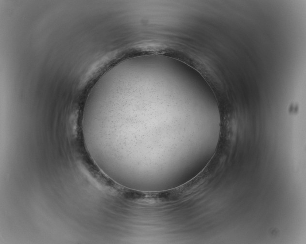 X0000112750404200909101545