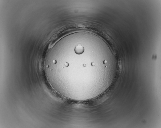 X0000112750408200909101545