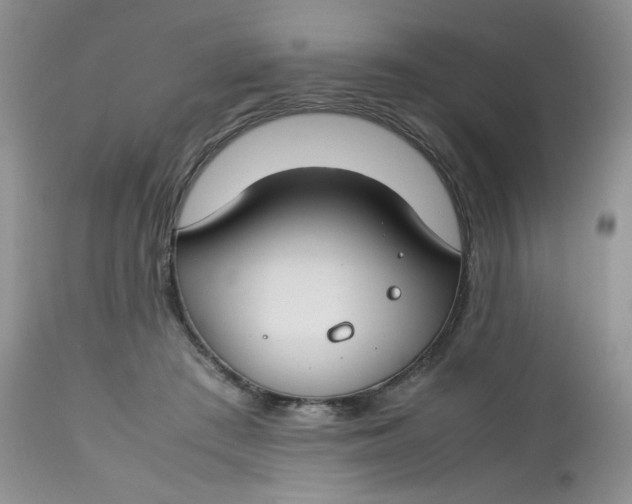 X0000112750409200909101545