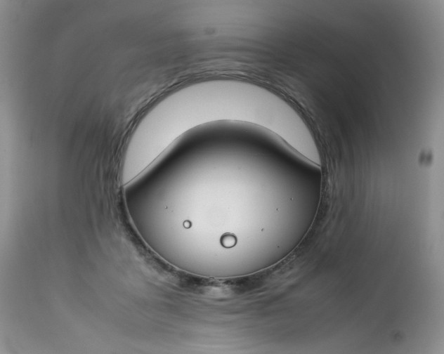 X0000112750411200909101545