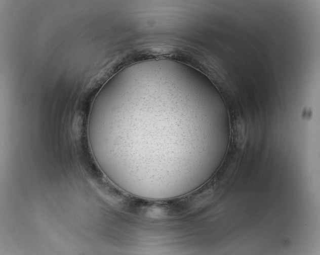 X0000112750412200909101545