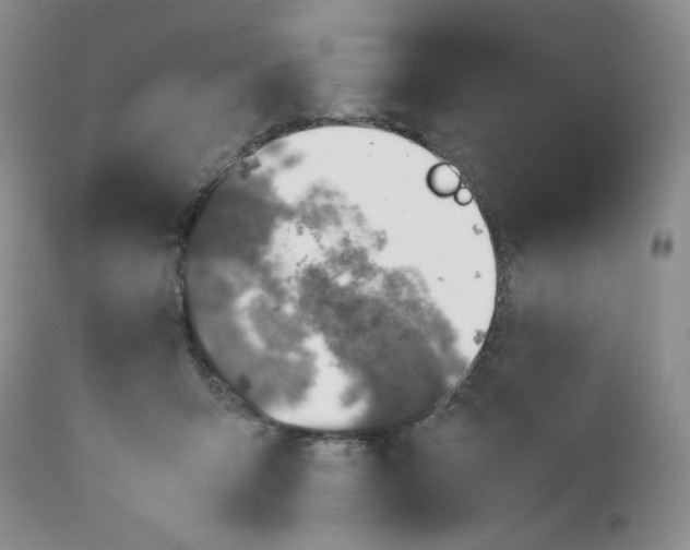 X0000112750415200909101545