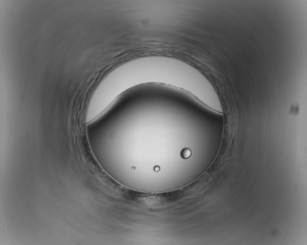 X0000112750417200909101545