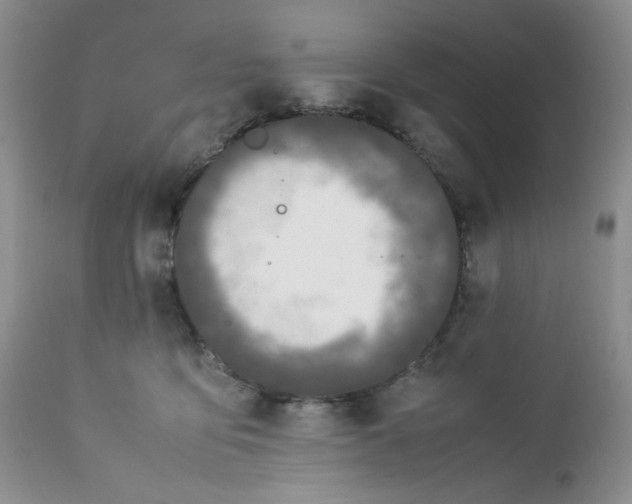 X0000112750419200909101545