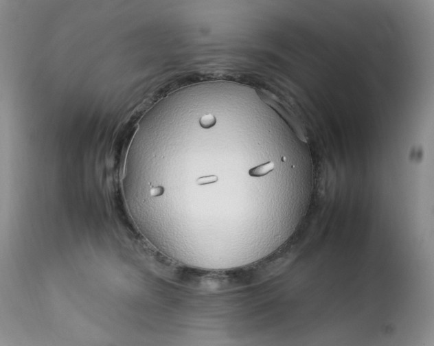 X0000112750420200909101545