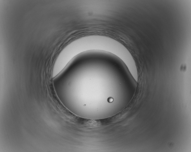 X0000112750421200909101545