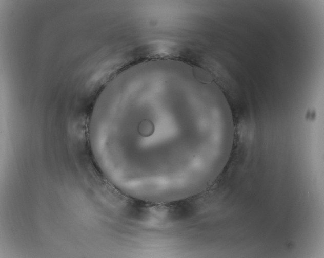 X0000112750423200909101545