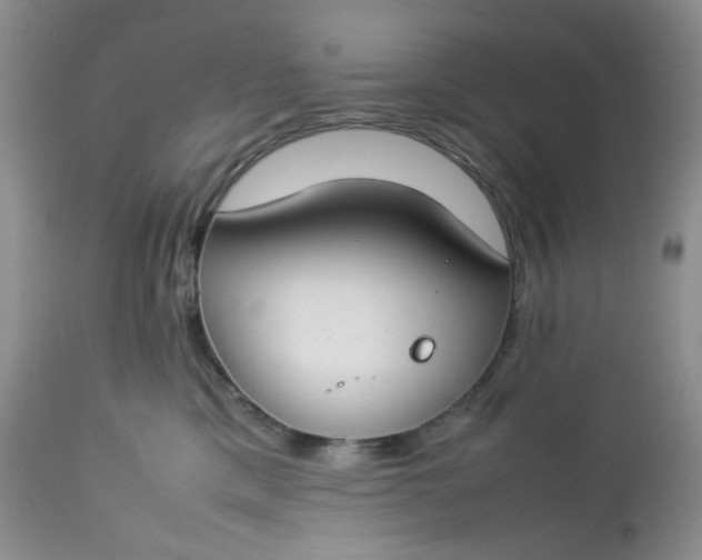 X0000112750425200909101545