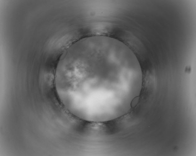 X0000112750427200909101544