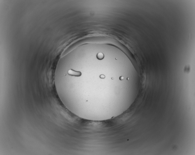 X0000112750428200909101544