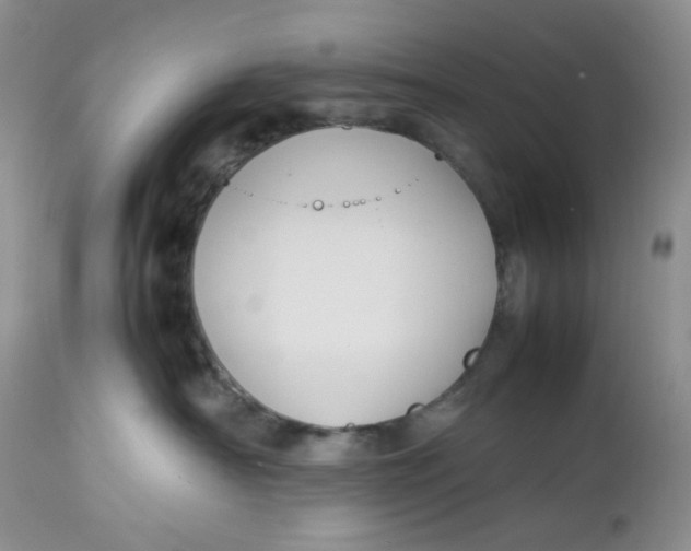 X0000112750430200909101544