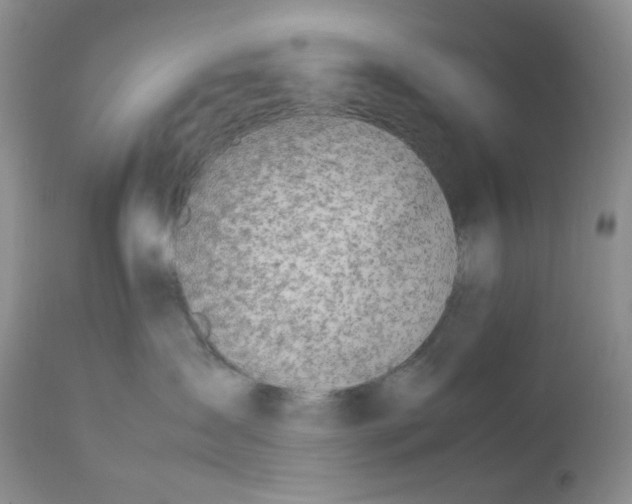 X0000112750431200909101544