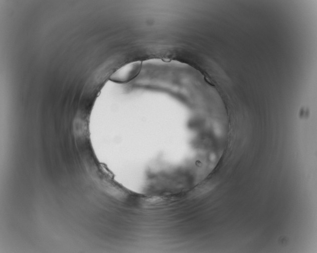 X0000112750432200909101544