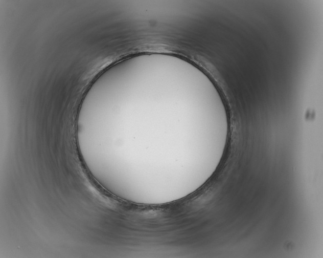 X0000112750433200909101544