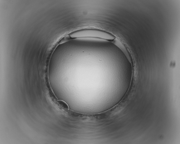 X0000112750434200909101544