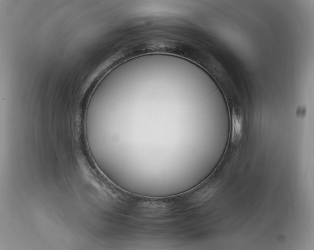 X0000112750435200909101544