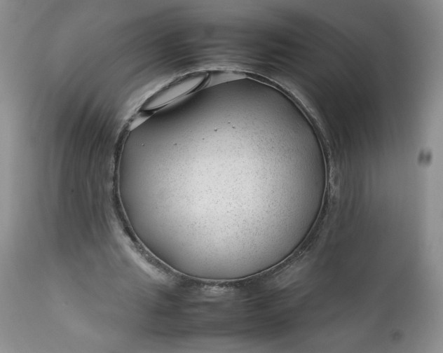 X0000112750437200909101544