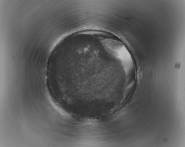 X0000112750438200909101544