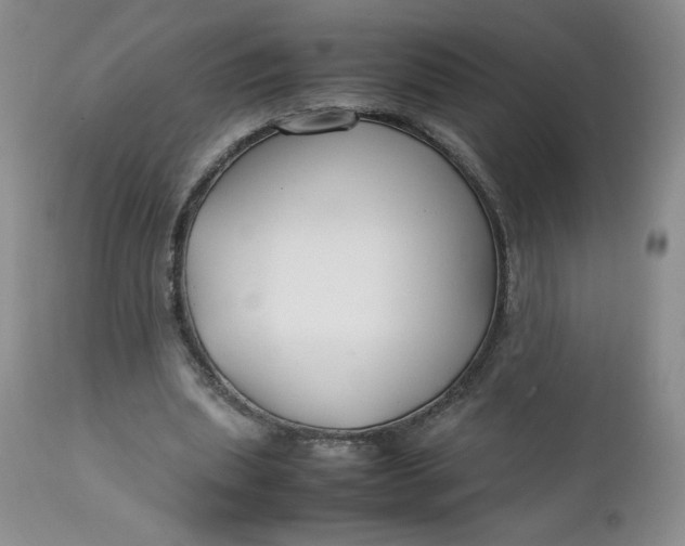 X0000112750439200909101544