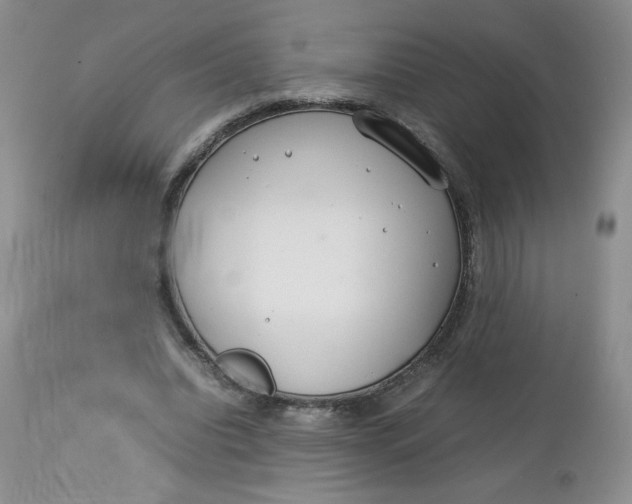 X0000112750440200909101544