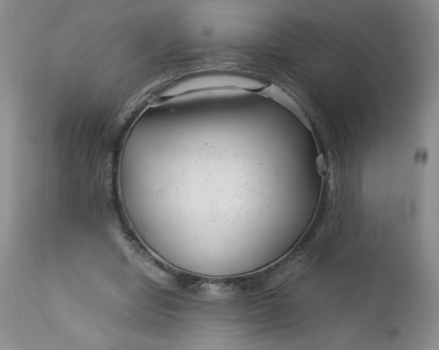 X0000112750442200909101544