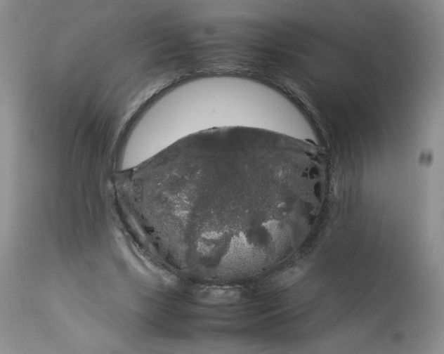 X0000112750443200909101544