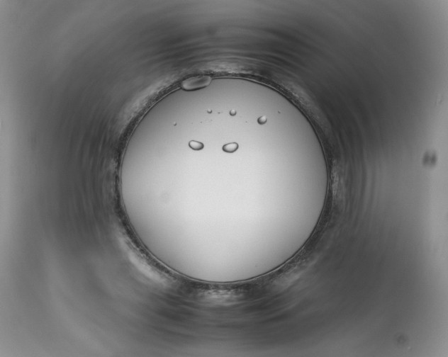 X0000112750445200909101544