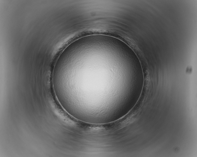 X0000112750446200909101544