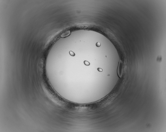 X0000112750448200909101544