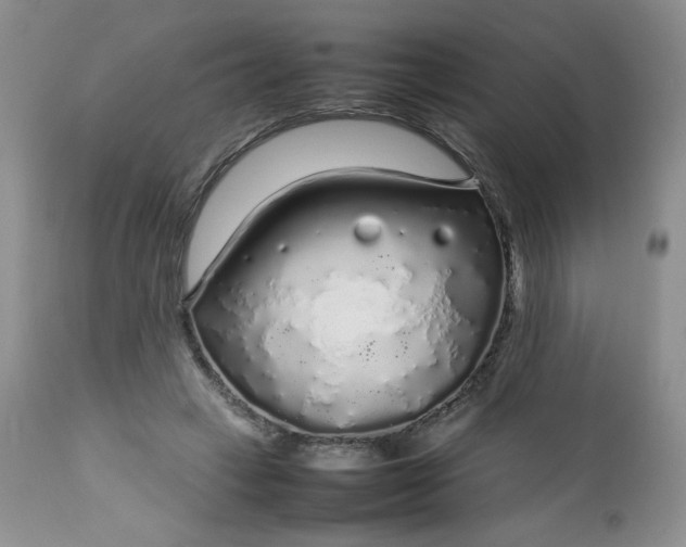 X0000112750449200909101544