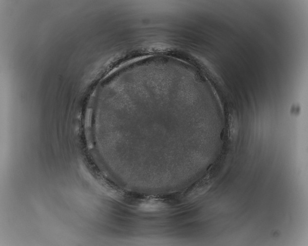 X0000112750451200909101544