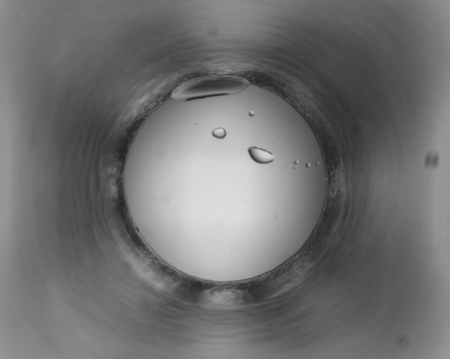 X0000112750452200909101544