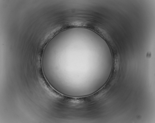 X0000112750453200909101544