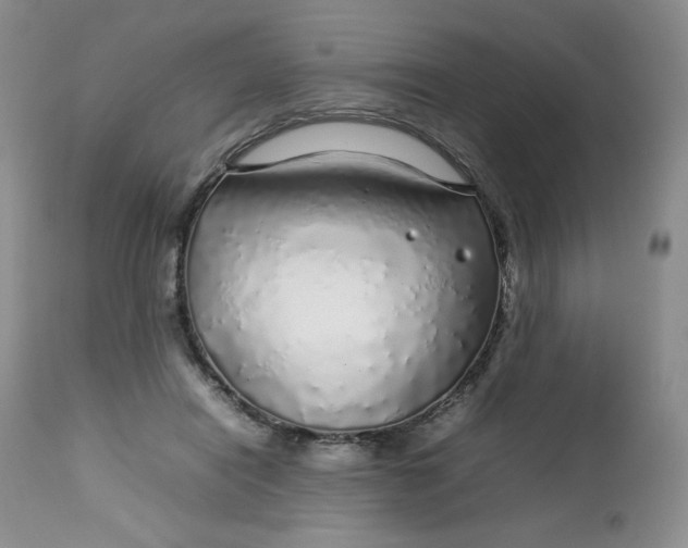 X0000112750454200909101544