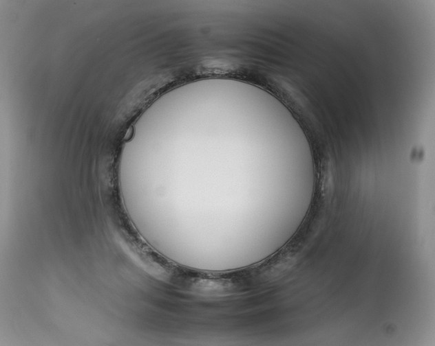 X0000112750455200909101544