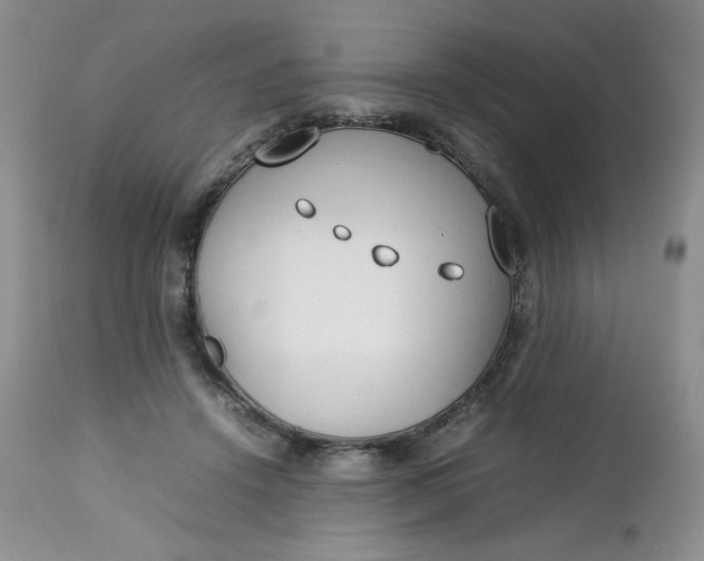 X0000112750456200909101544