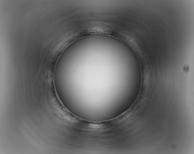 X0000112750457200909101544