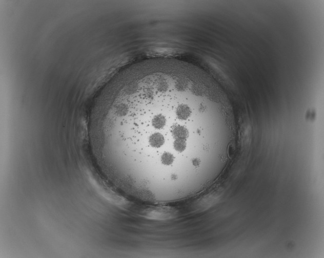 X0000112750459200909101544