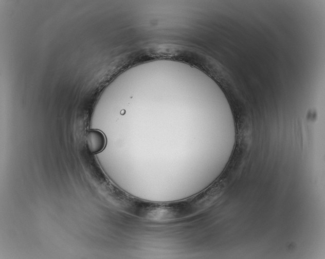 X0000112750460200909101544