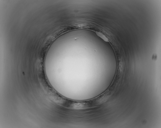 X0000112750461200909101544