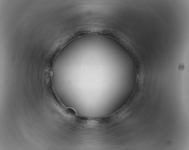 X0000112750462200909101544