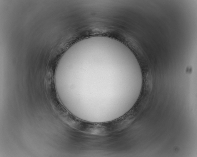 X0000112750463200909101544