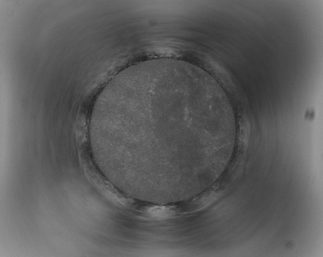 X0000112750465200909101544