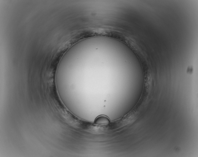 X0000112750466200909101544