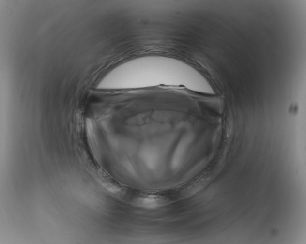 X0000112750467200909101544